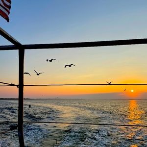 Meet your Posher, Arielle